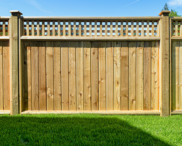 Cedar Fencing
